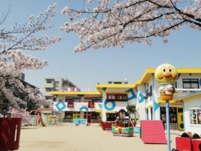 白鳥幼稚園｜京都・滋賀の注文住宅 天然木の家