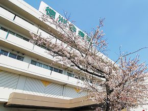 宇治徳洲会病院｜京都・滋賀の注文住宅 天然木の家